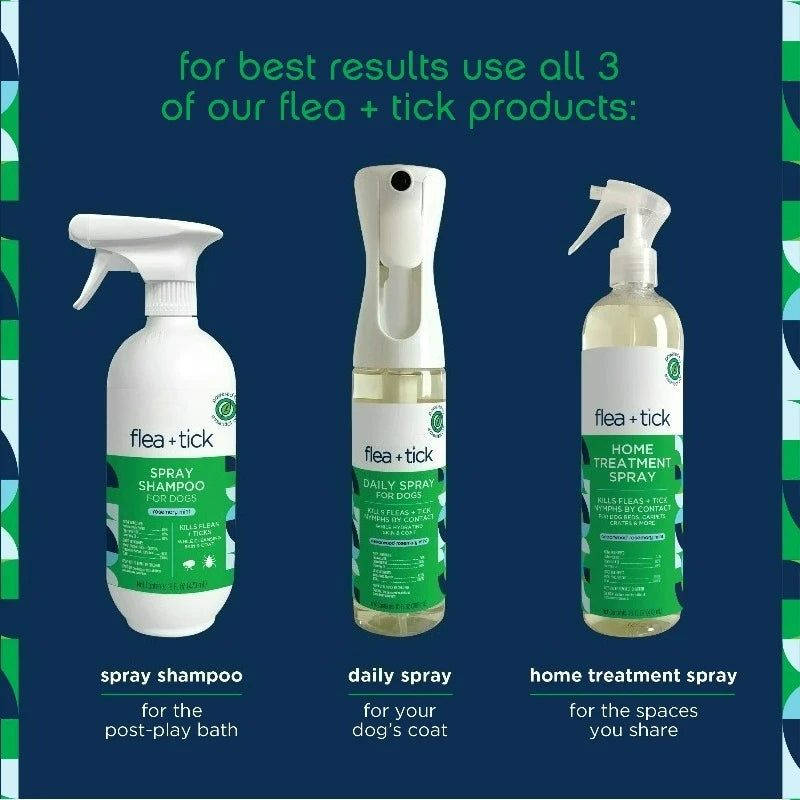Spray-on Flea & Tick Shampoo for Dogs, 16oz