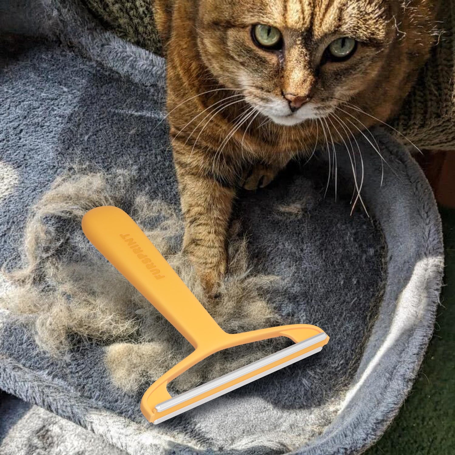 Cleaning Supplies