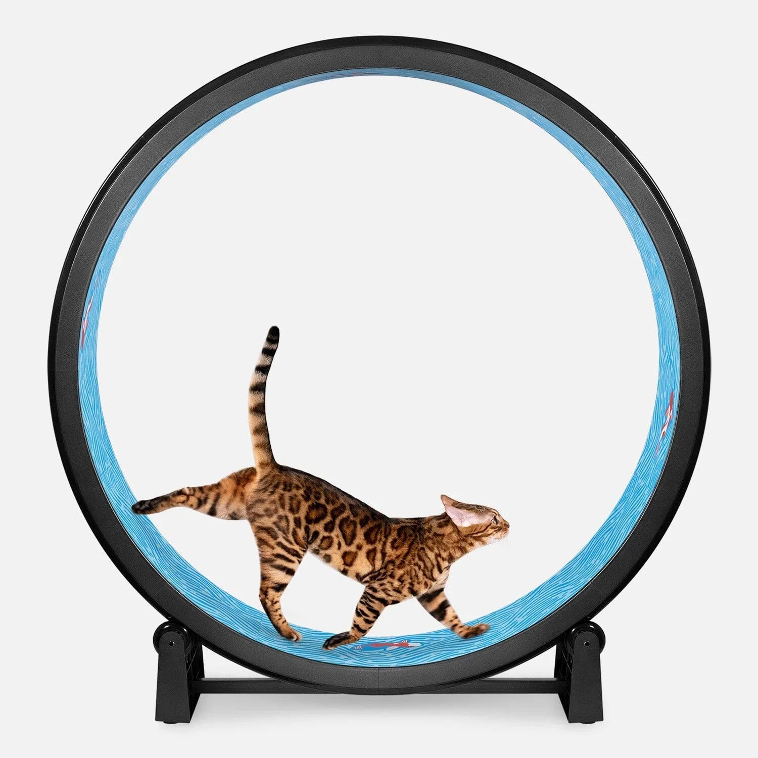 Cat Excercise  Wheel