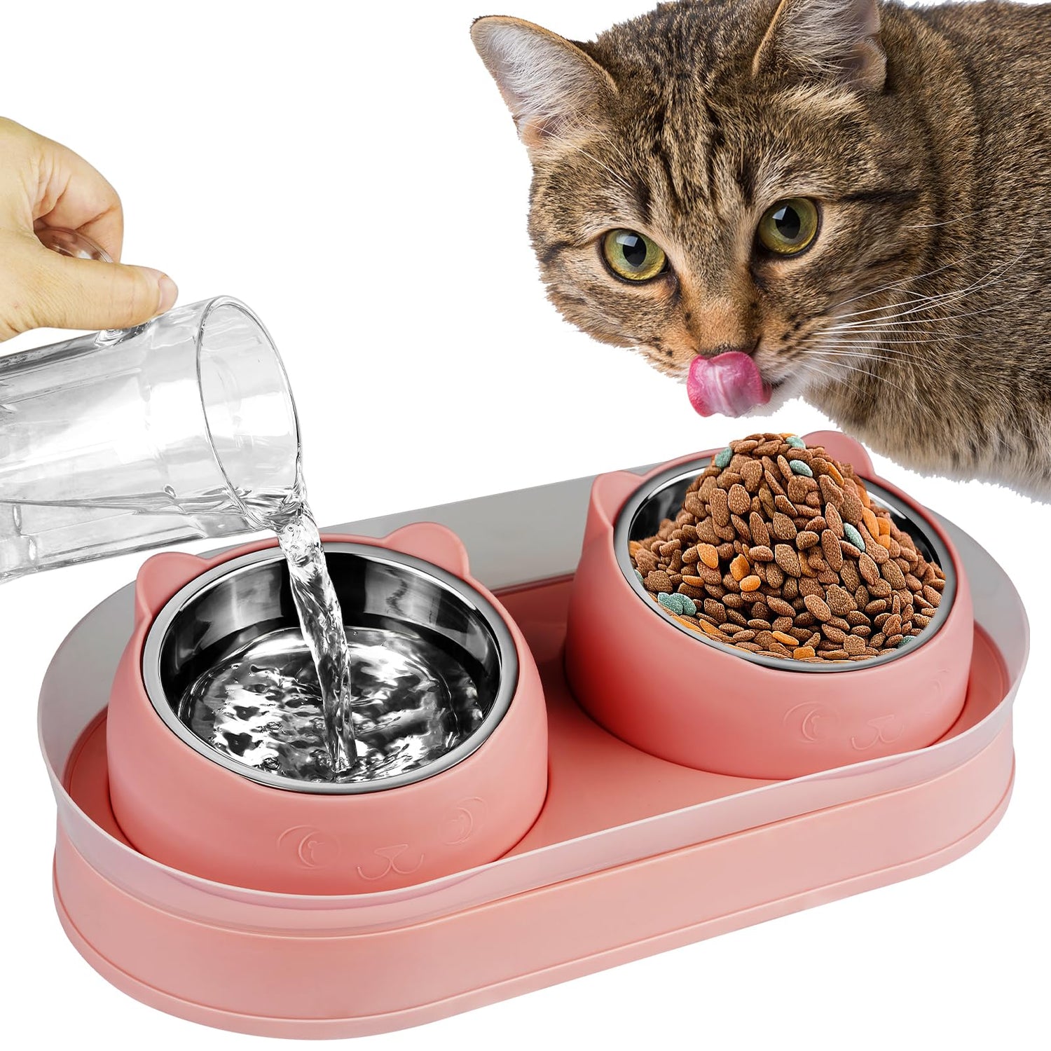 Cat Feeding Bowls