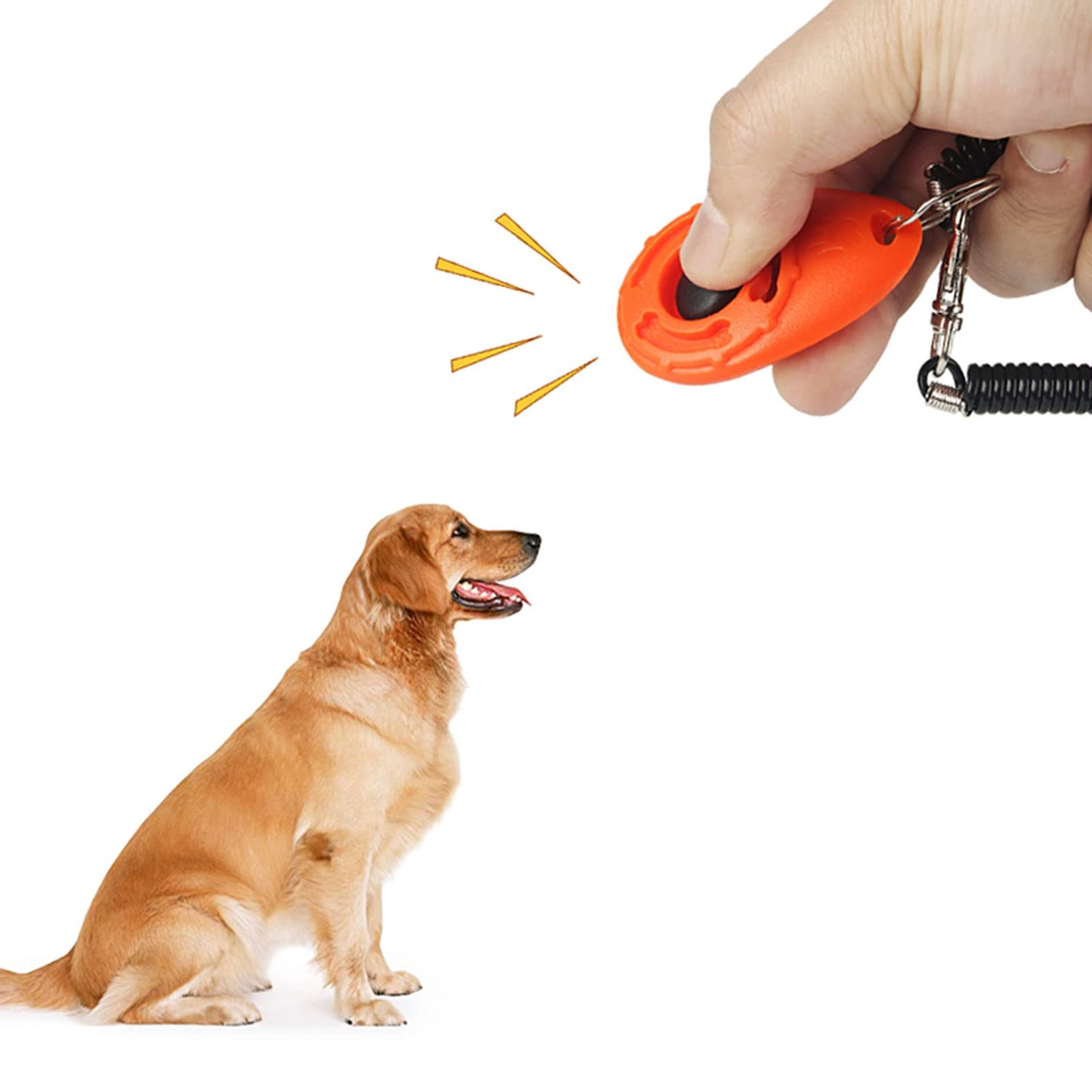 Clickers For Dog Training