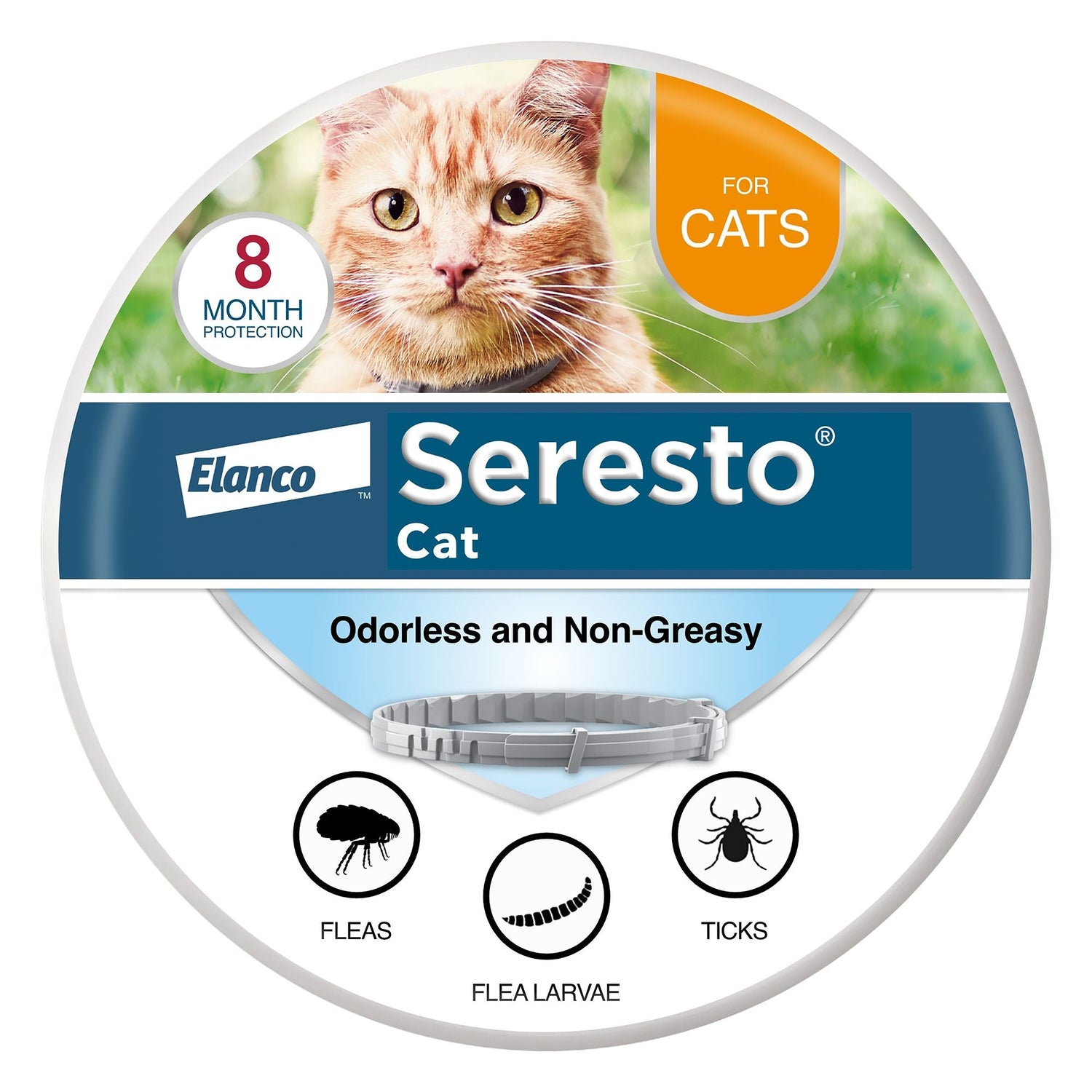 Flea and Tick Treatments
