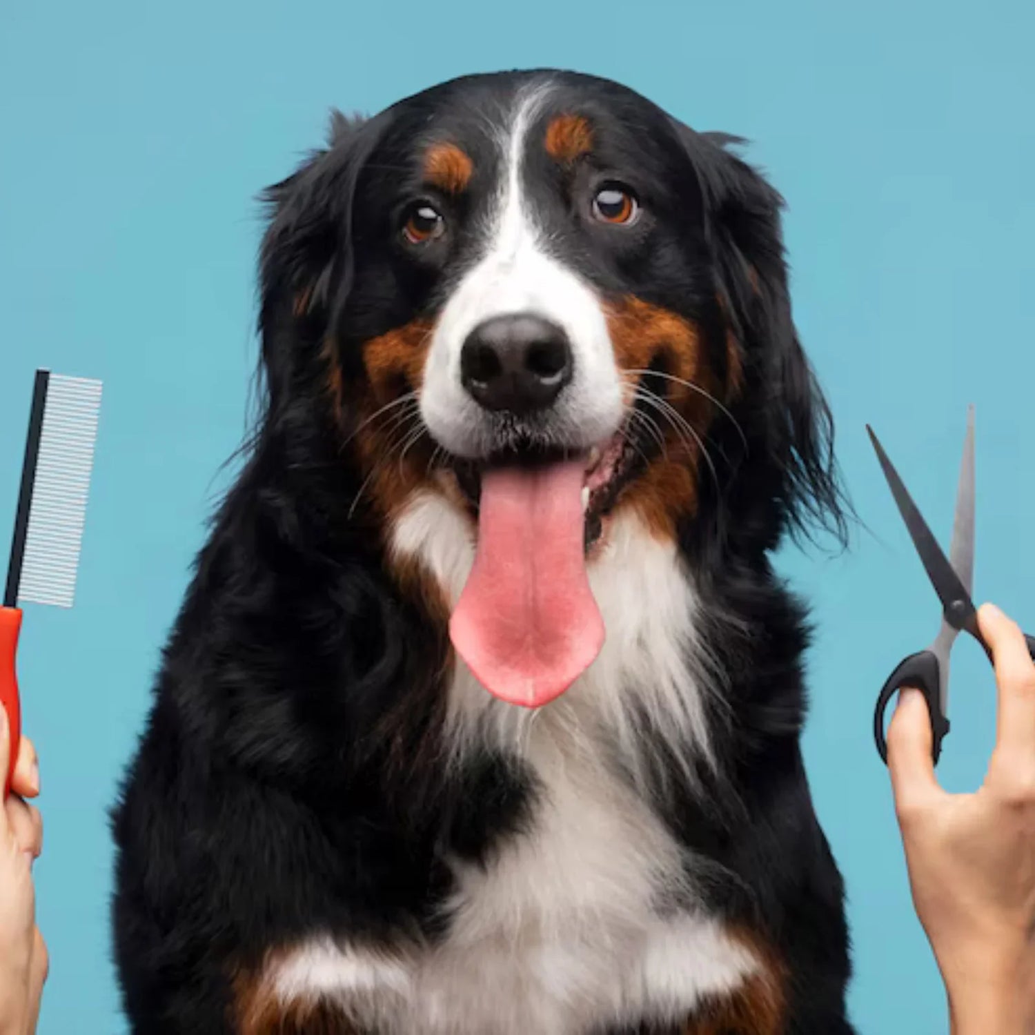 Grooming