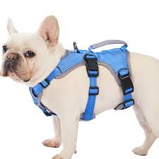 Harnesses
