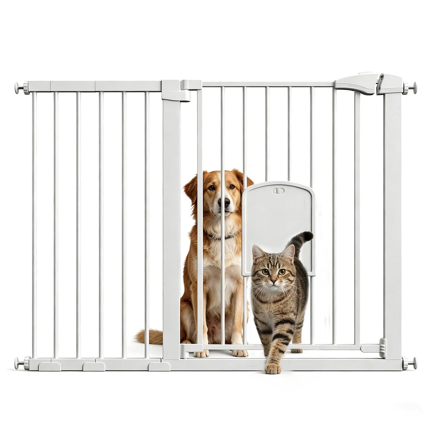 Pet Gates