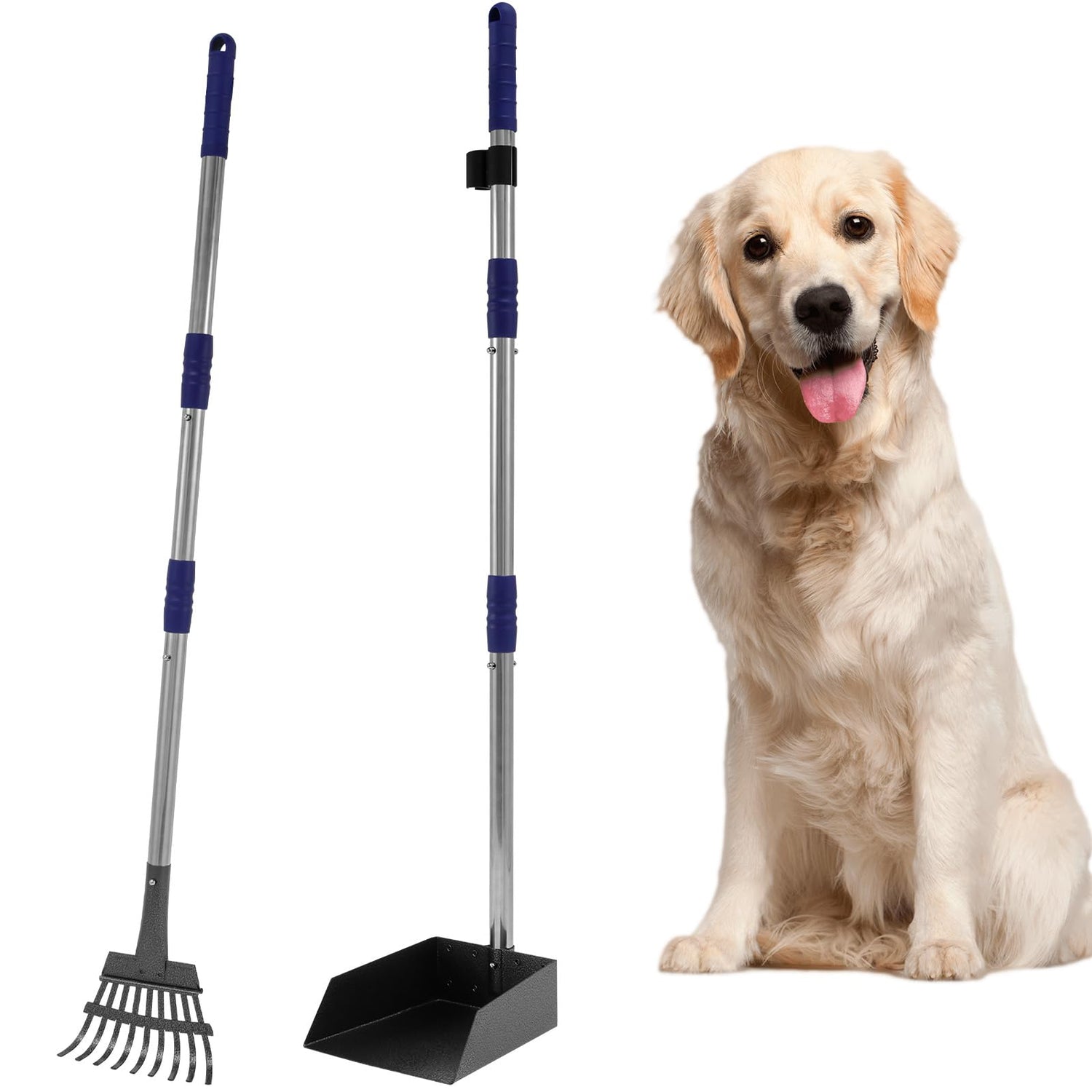 Pet Sanitation