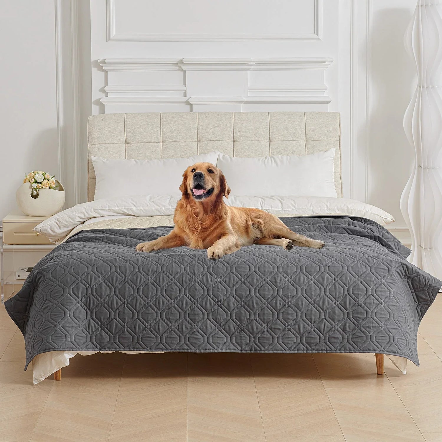 Pet Blankets