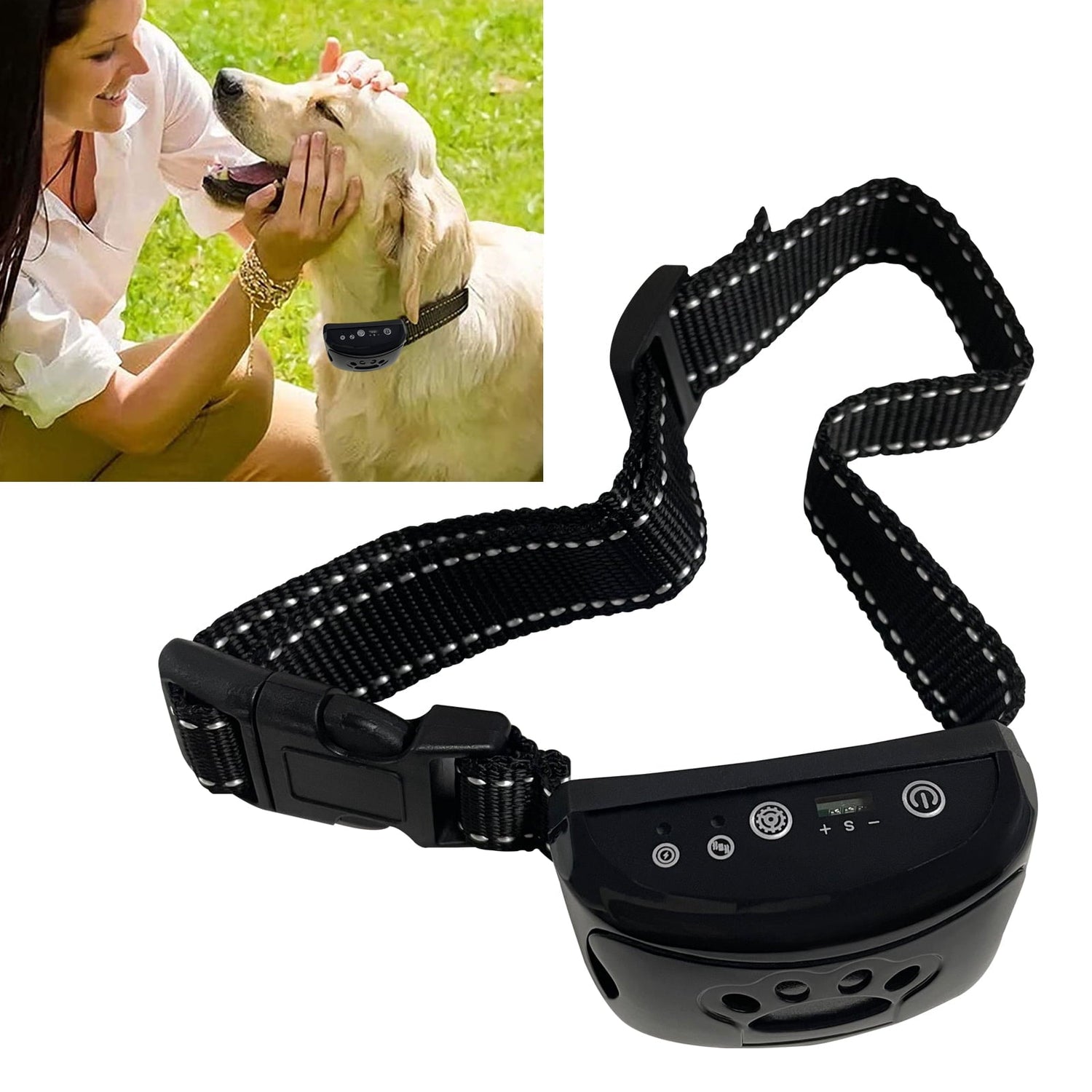 Shock Training Collars