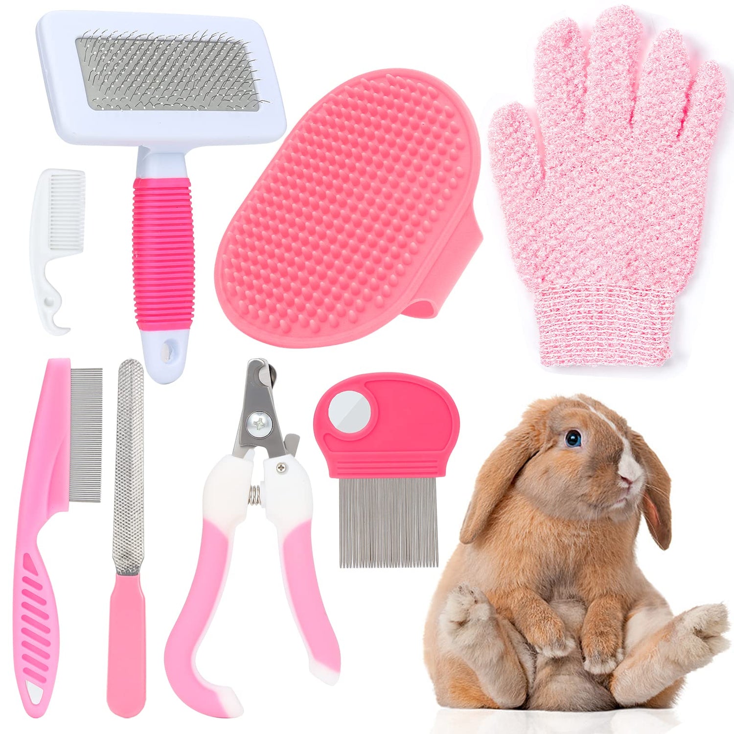 Small Pet Grooming