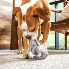 Dog Toys
