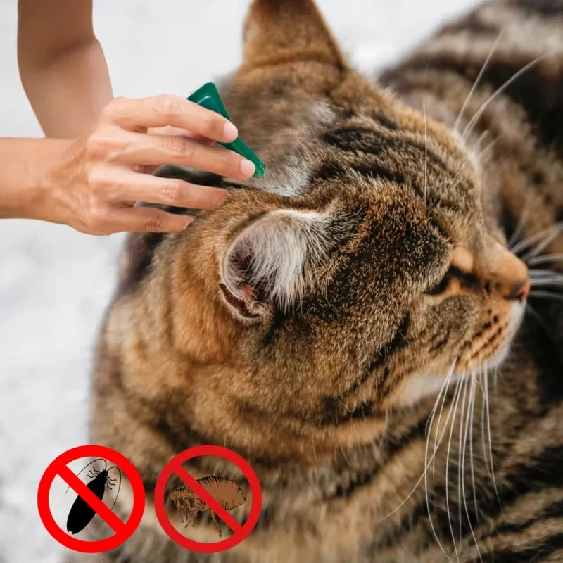 Pet Flea&tick Drops Effectively Repel Fleas Keep Skin Healthy Improve Hair Gloss Anti Skin Itching Pet External Deworming Drops