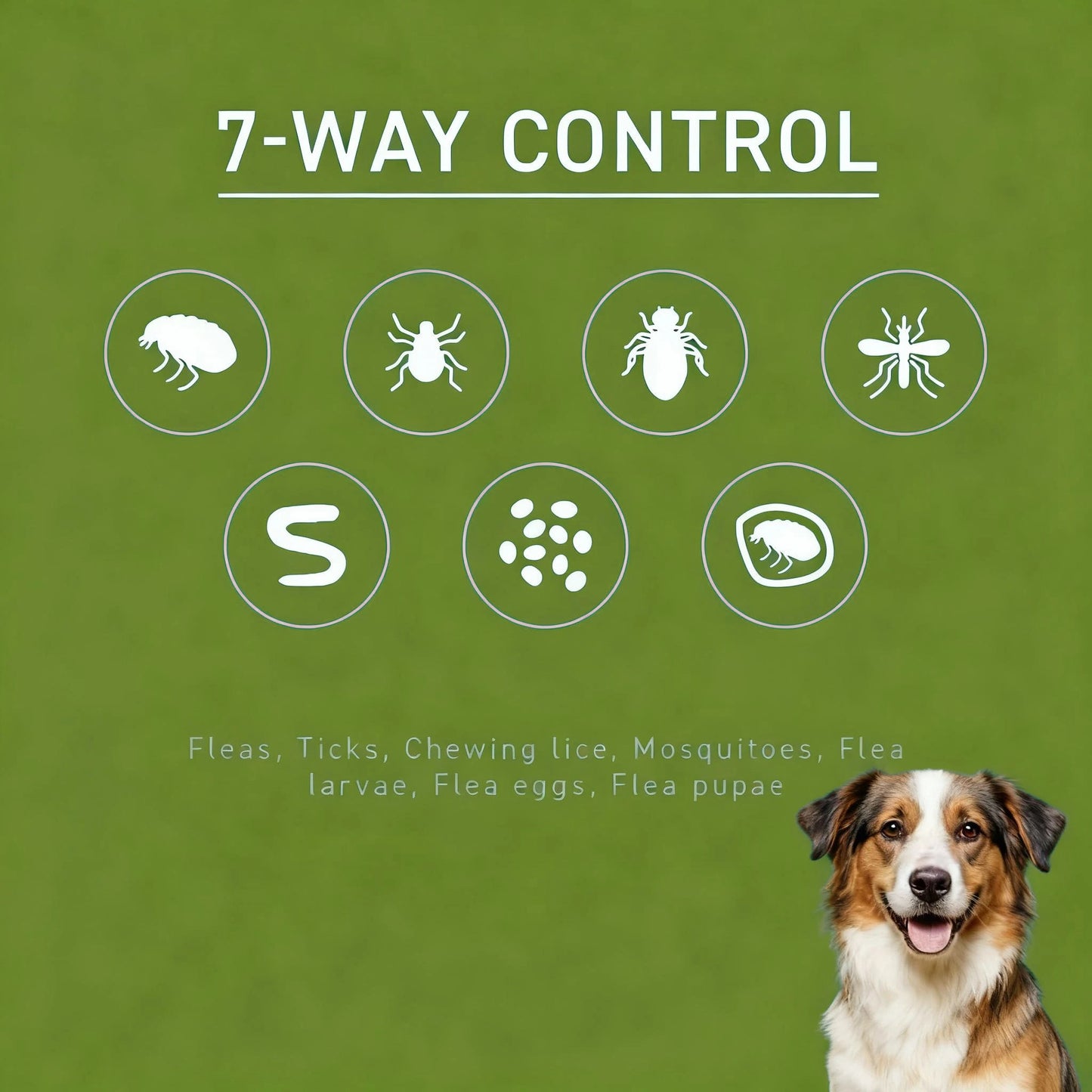 6 Doses Pet Flea Tick Drops Topical Treatment Fast Acting Waterproof Prevention for Dogs Cats