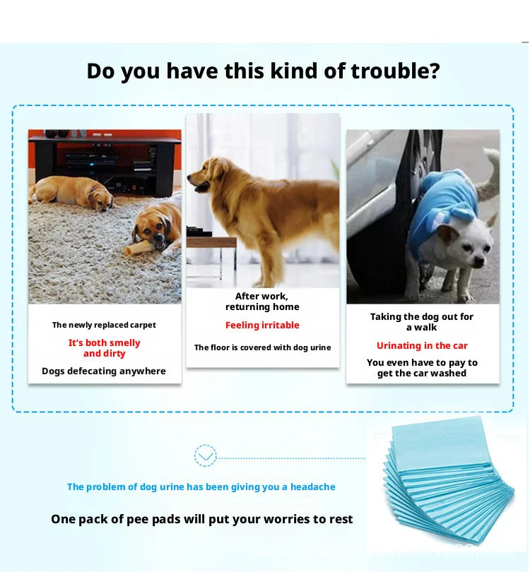 Thick Pet Training Pads, Super Absorbent Leak-Proof Puppy Pee Pads, Disposable Odor-Control Dog Cat Urine Mats Bulk
