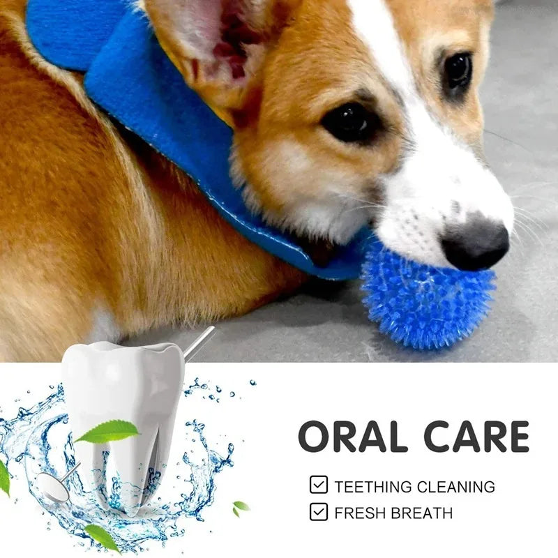 Pet Dog Toys Cat Puppy Sounding Toy Polka Squeaky Tooth Cleaning Ball TPR Training Pet Teeth Chewing Toy Thorn Balls