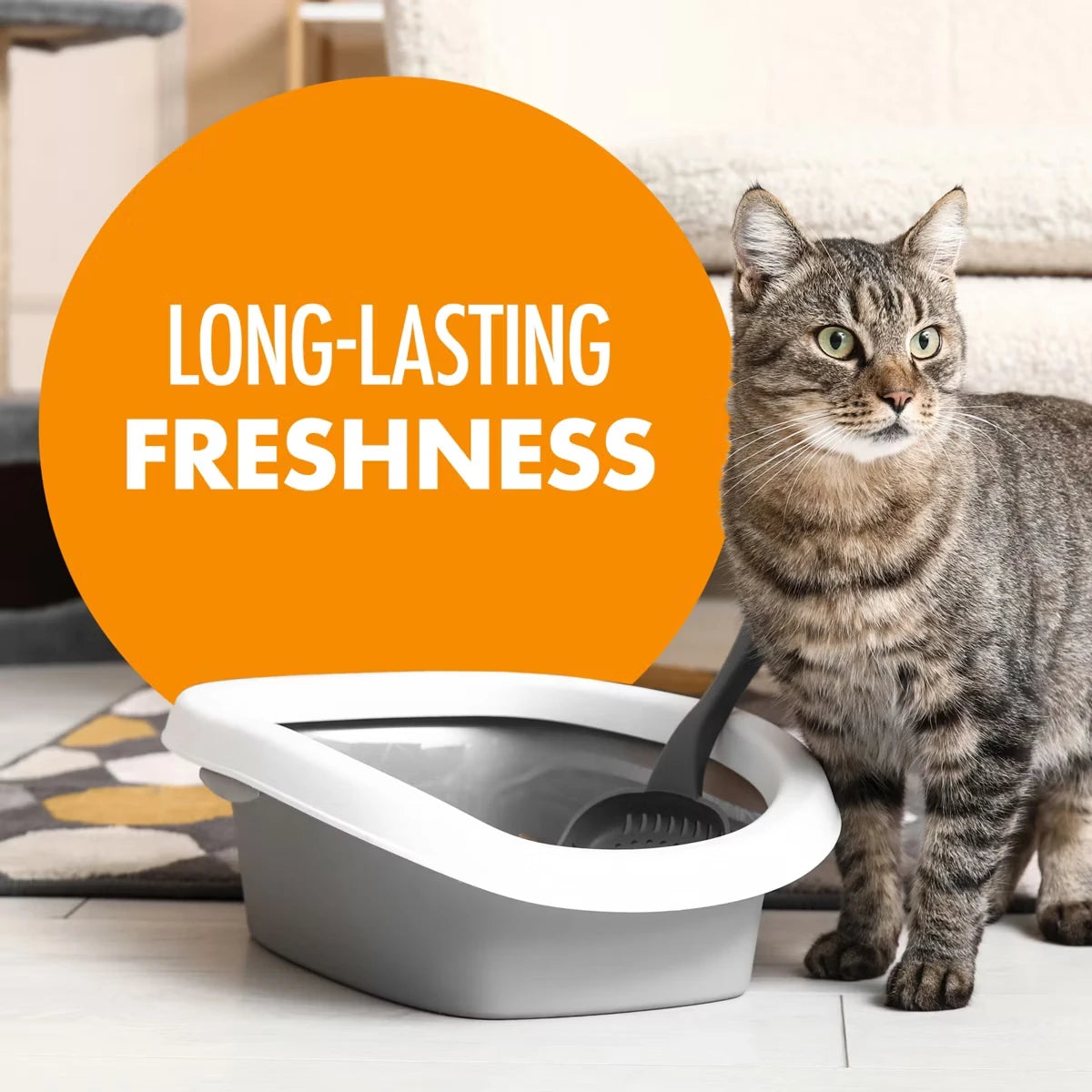 Household Carpet Cleaning Powder Deodorizing Baking Soda for Home Furniture Mattress Pet And Kitchen Odor Removal
