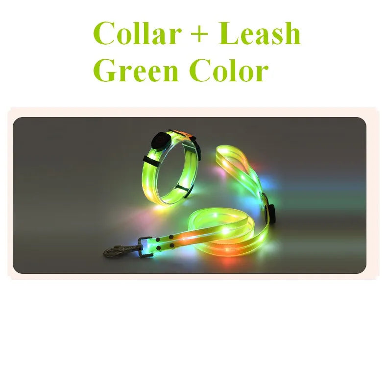 Pet Dog LED Light UP Leash USB Rechargeable PVC With Webbing Glowing Pet Leash Light Up Puppy Dog Night Walking No Collar