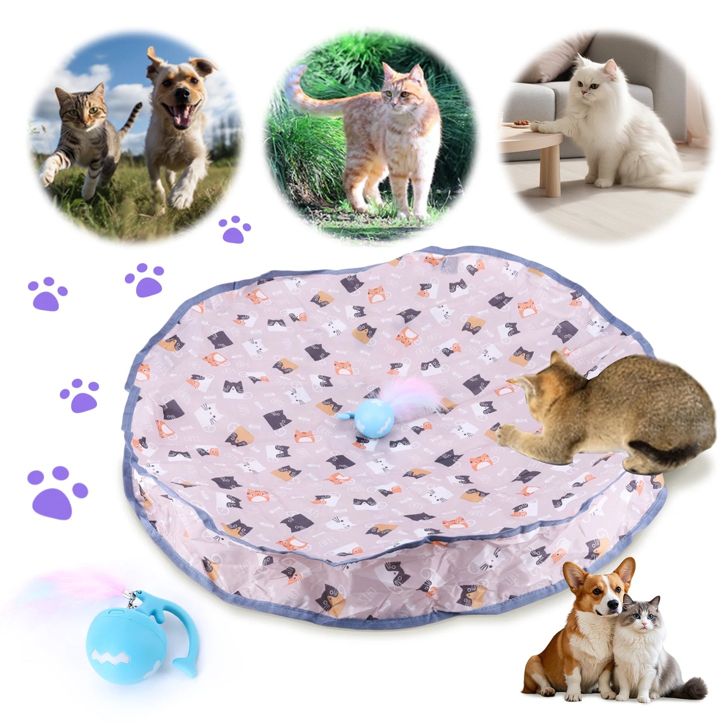 Interactive Cat Toy Ball Fast Rolling in Pouch Motion Activate Chirping Cat Toy Reusable for Pet Hide and Seek Game Accessories