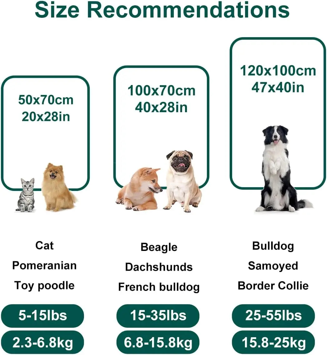 Dog Blanket Washable for Puppy: 4 Packs Dog Blankets 40”x28” - Fluffy Soft Small Throw for Cat Puppy Kitten Dogs - Fleece Pet Blankets for Bed Sofa Car and Indoor - Grey and Khaki