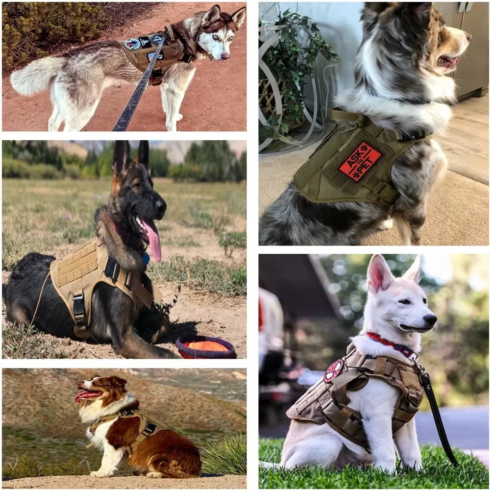 Tactical Dog Harness With Leash 12pcs Patches and Sunglasses For Medium Large Dogs Adjustable Vest  For Outdoor Walking Training
