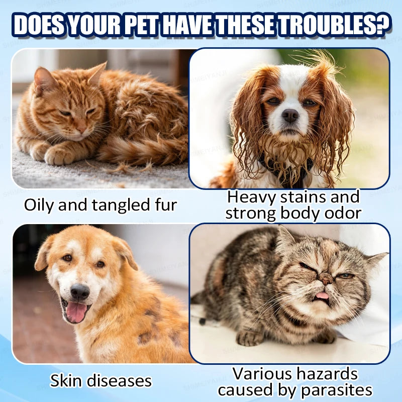 A natural pet shampoo and conditioner designed specifically for cats and dogs; it smooths and moisturizes, leaving the coat soft, glossy, and strong, while imparting a fresh, long-lasting fragrance.