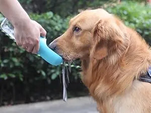 Dog Water Bottle with Food Container, Travel Puppy Water Bowl, Portable Pet Dispenser,Puppy Essentials Necessities for Hiking