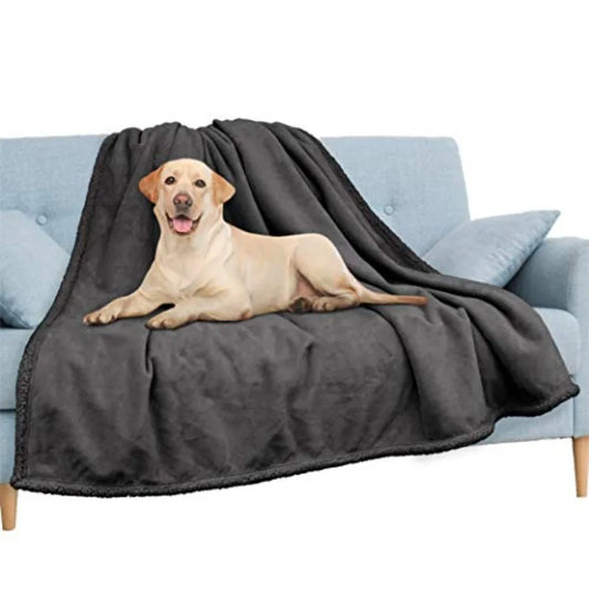 Waterproof Blanket Throw Dark Grey Queen, Waterproof Pet Blanket for Dog Couch Protection, Leak Proof Sherpa Fleece Blanket