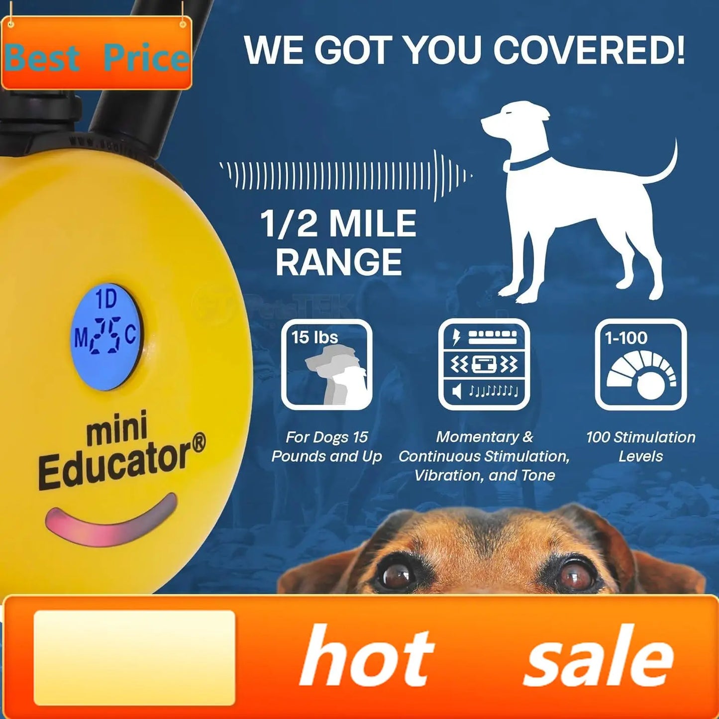 hot-sellingET-300 Mini E Collar for Dog Training with Remote - 1/2 Mile Range, Waterproof, 100 Blunt Stimulation Levels