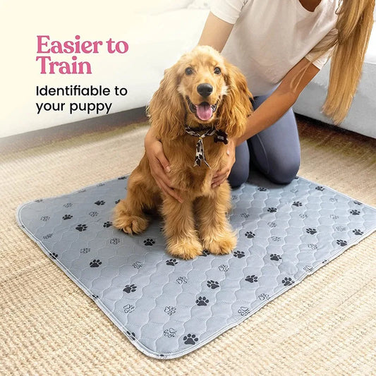 Dog Urine Pads Washable Reusable Anti Slip Pet Pee Pad Puppy Training Pad Pet Bed Urine Mat for Car Seat Cover