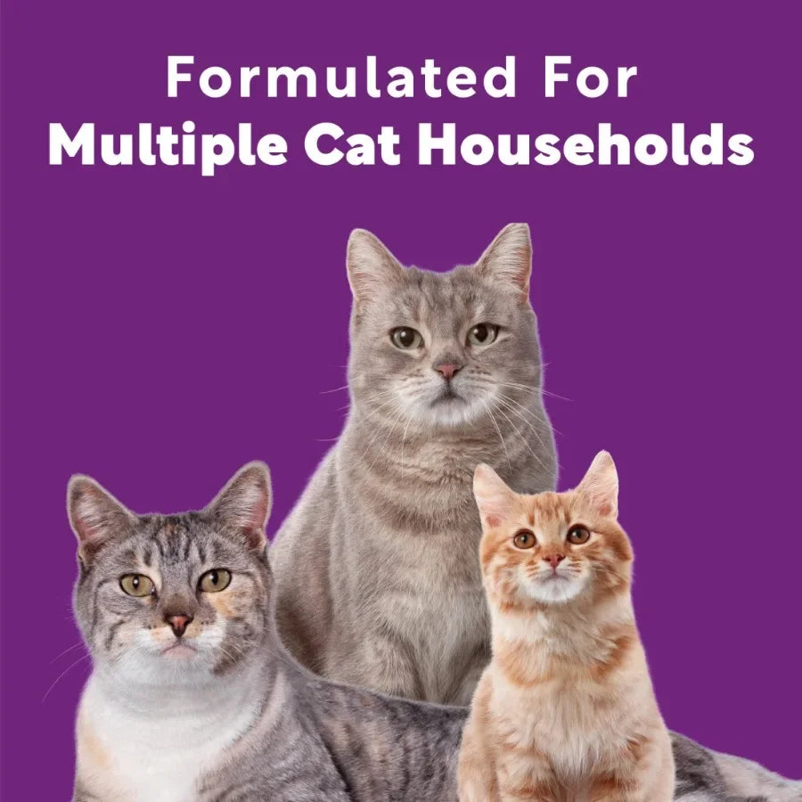 3 pack Multi Cat Litter With Meadow Fresh Scent, 14 lb. Box