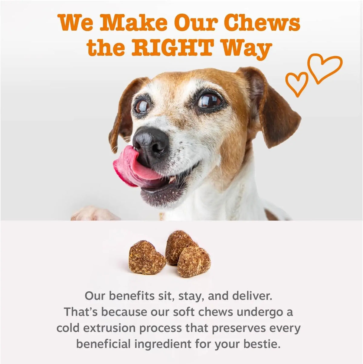 Dog Allergy & Immune Bites for small, Medium Large, Dog Probiotics Chews for Itchy Skin and Ears - Lamb, Peanut Butter, Salmon