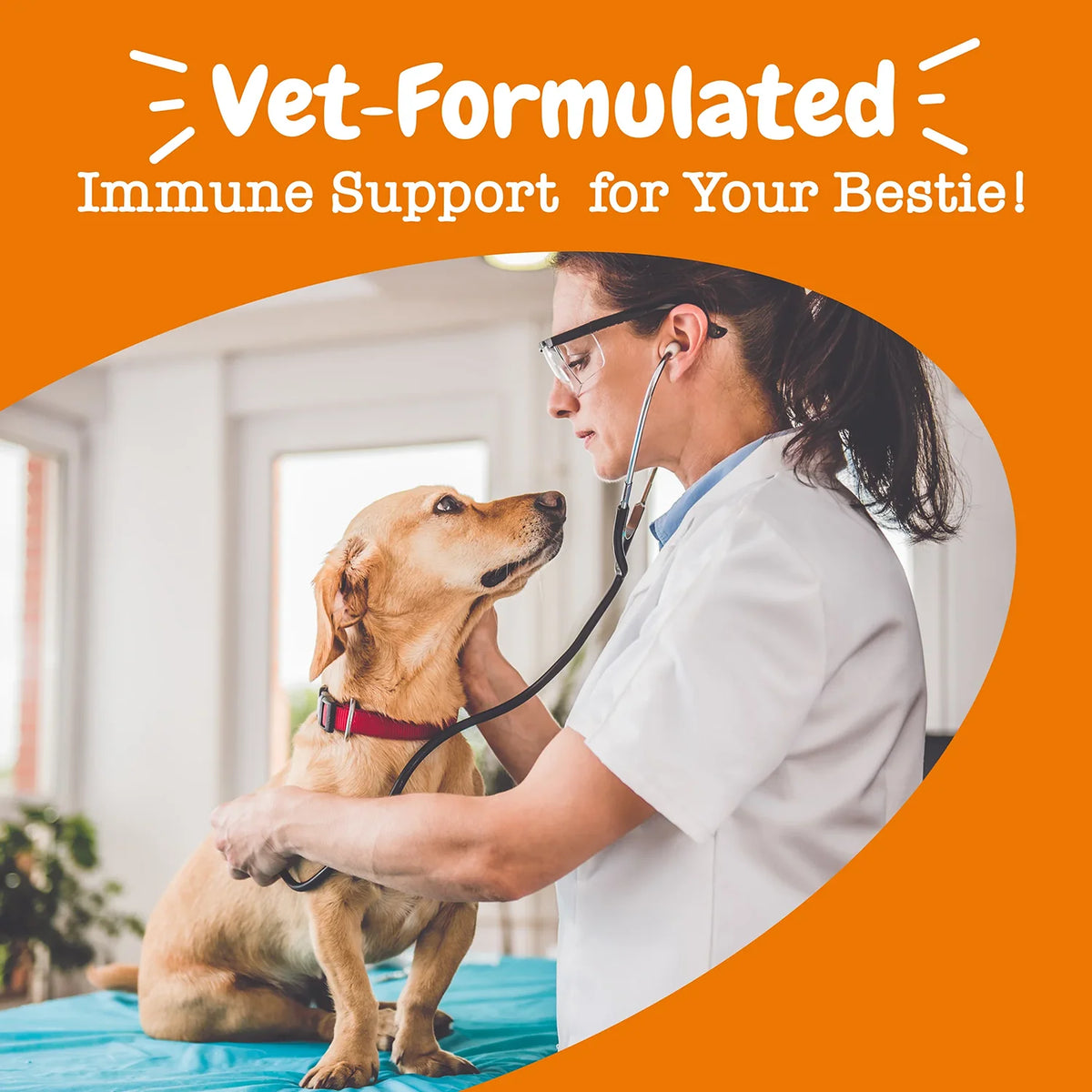 Dog Allergy & Immune Bites for small, Medium Large, Dog Probiotics Chews for Itchy Skin and Ears - Lamb, Peanut Butter, Salmon