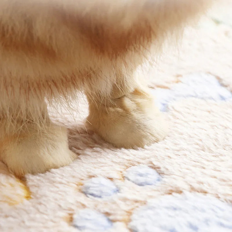 Velvet Pet Sleeping Warm Blanket with Paw/Dot/Bone Pattern, Dog Cat Washing Towel, Fleece Soft Pet Blanket Pet Bed Mat