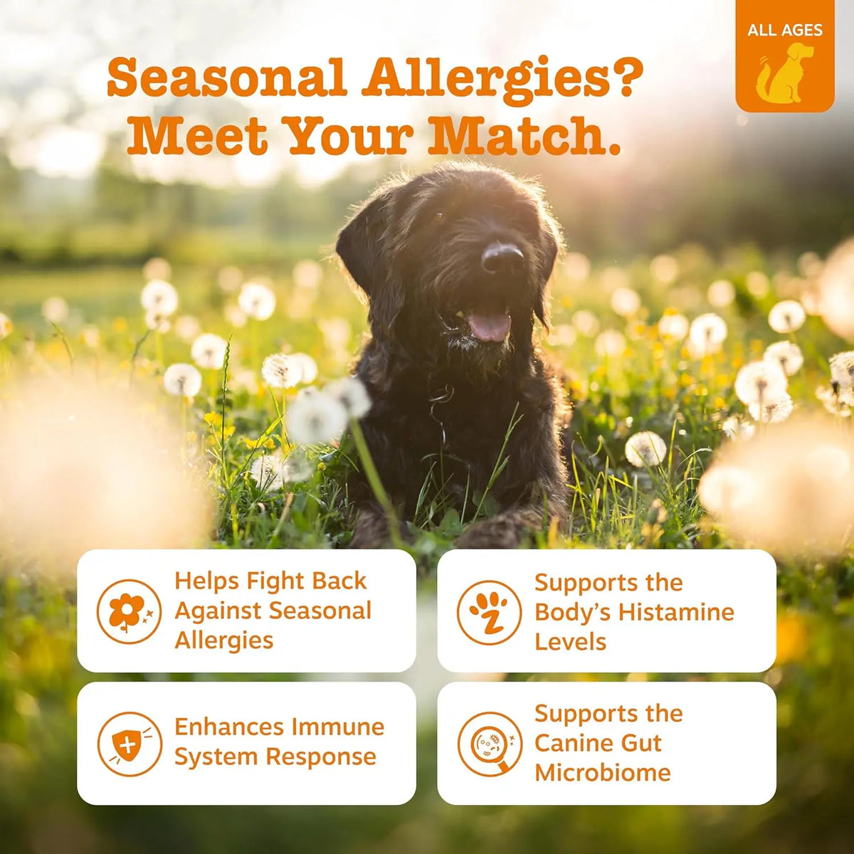 Dog Allergy & Immune Bites for small, Medium Large, Dog Probiotics Chews for Itchy Skin and Ears - Lamb, Peanut Butter, Salmon