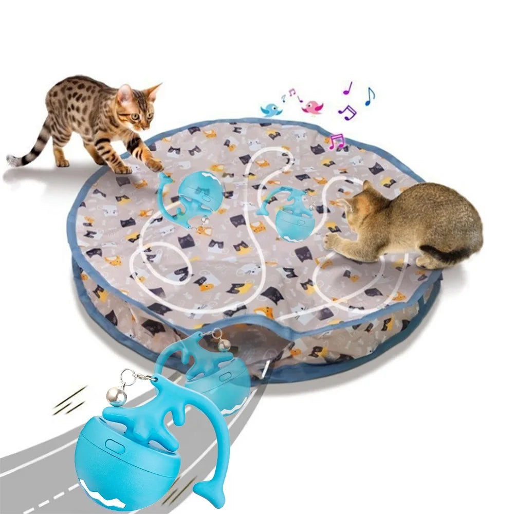Interactive Cat Toy Ball Fast Rolling in Pouch Motion Activate Chirping Cat Toy Reusable for Pet Hide and Seek Game Accessories