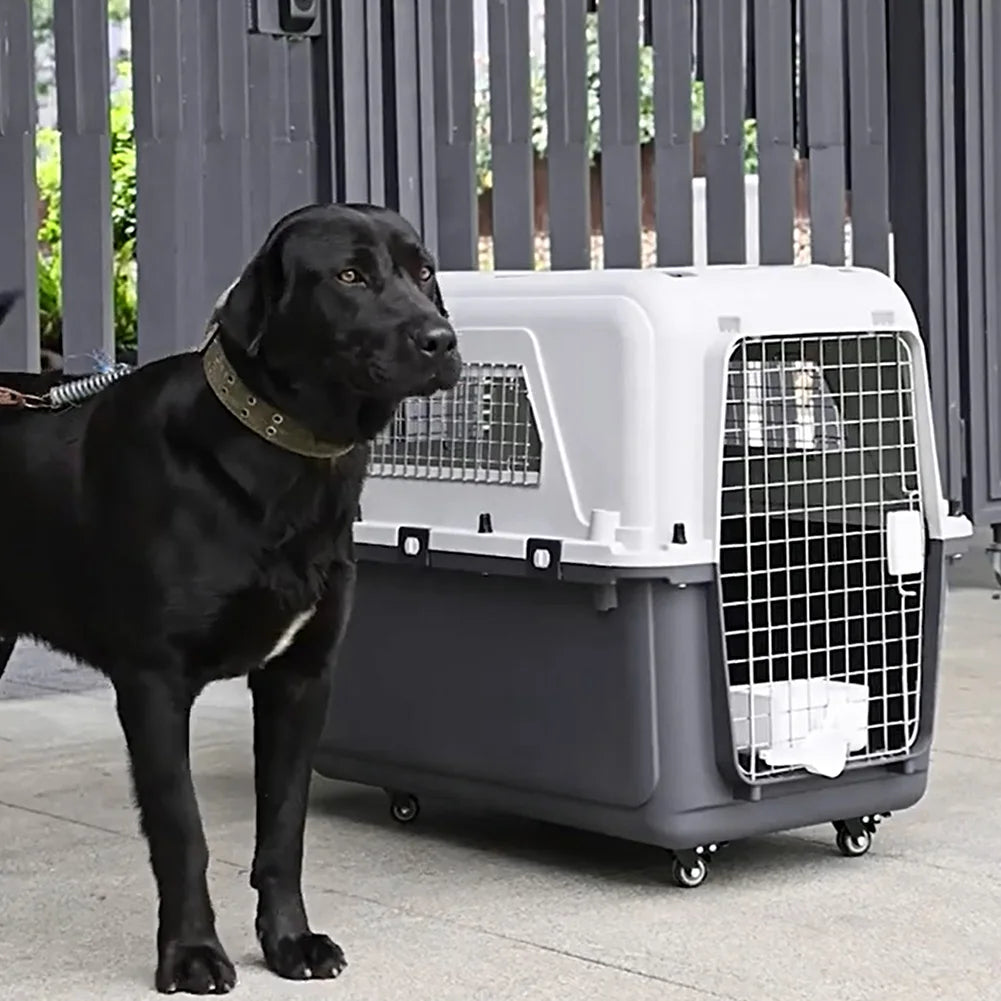 Cats & Rabbit Animal Carrier Travel Cage Box Length 33in/Width 21.6in/Height 25.2in with Handle & Metal Door for Puppies Kittens